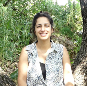 Rotem Bear